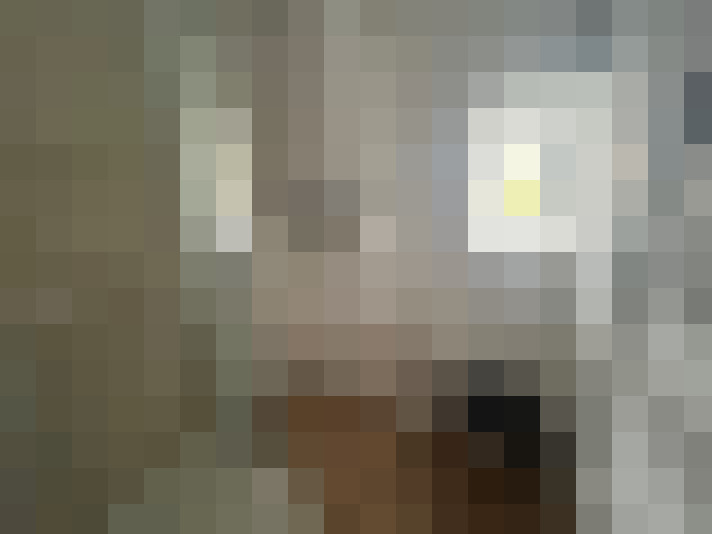  / #15