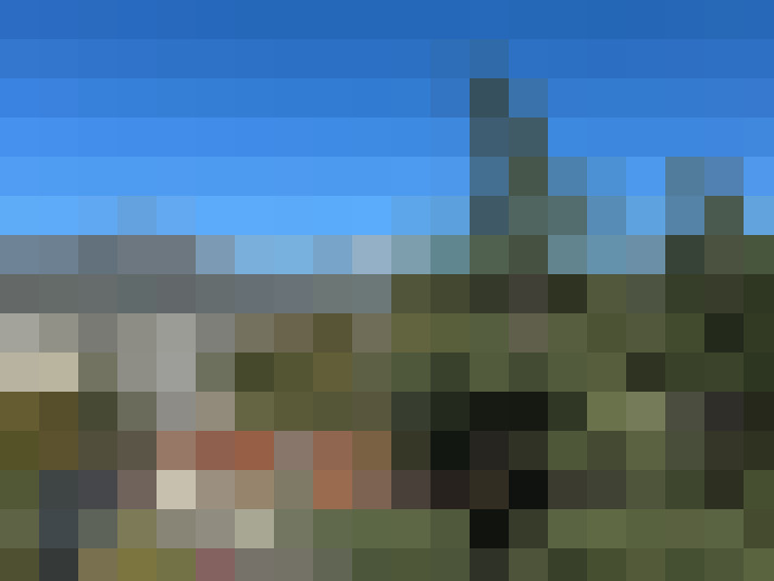  / #7