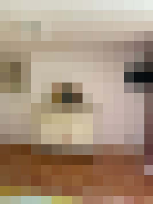  / #16
