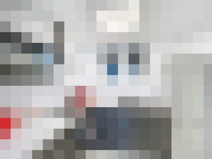  / #7