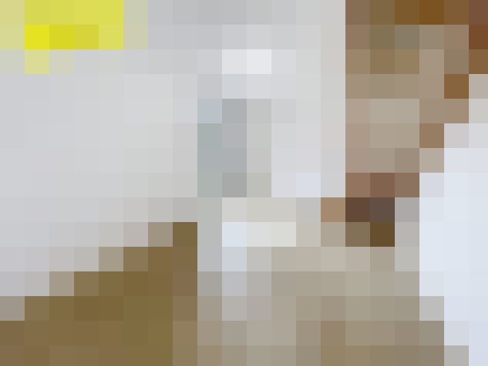  / #17