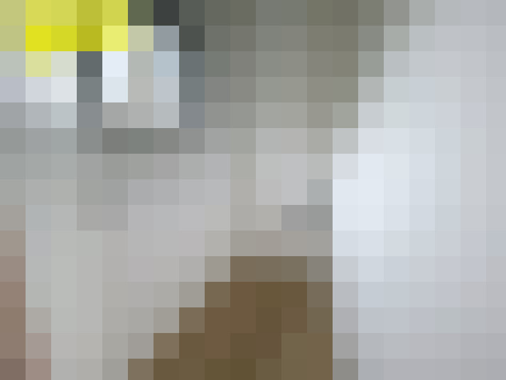  / #15