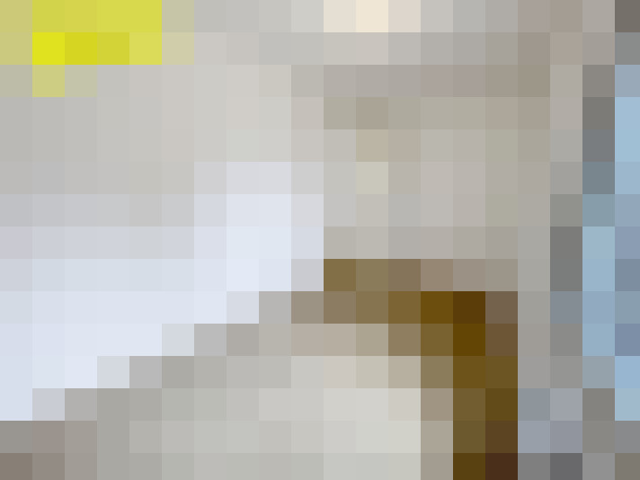  / #16