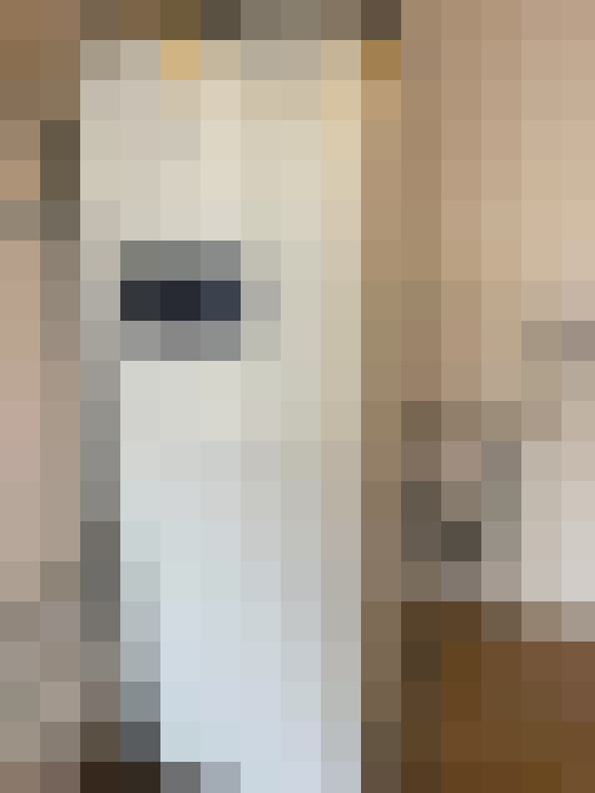  / #22