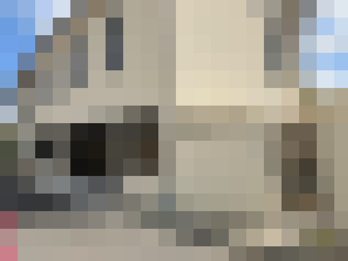  / #11