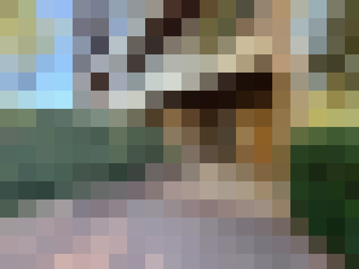  / #7