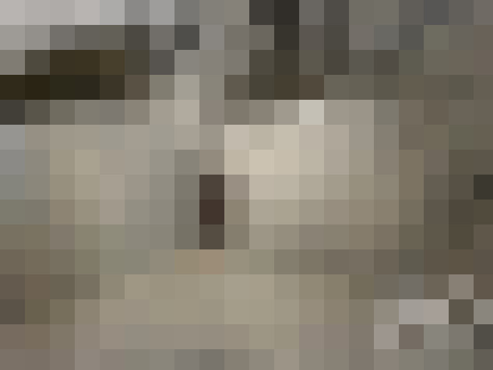  / #19