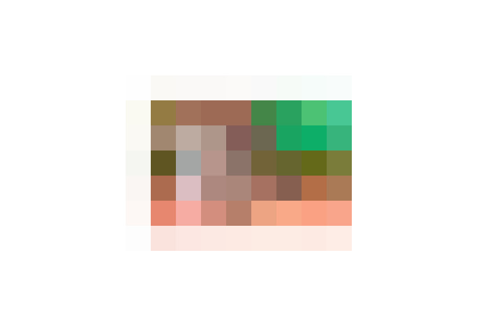  / #6