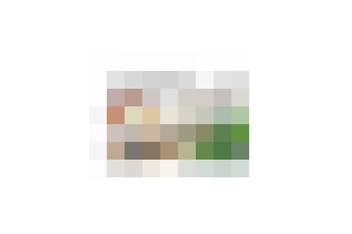  / #19