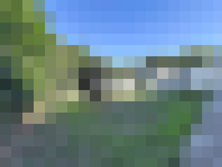  / #15