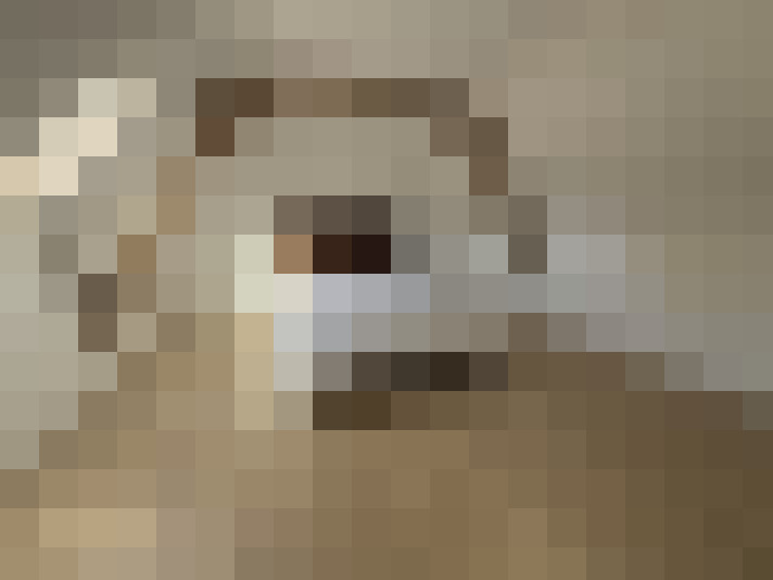  / #13