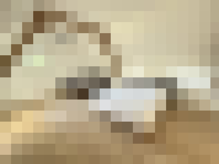  / #12