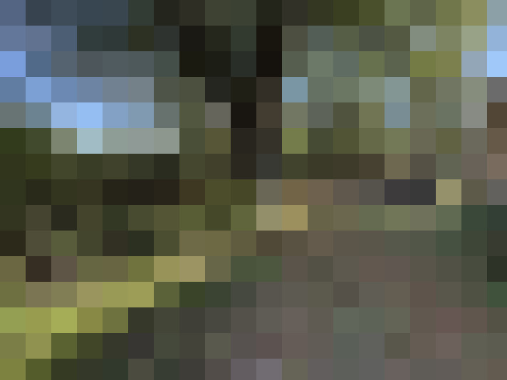  / #15
