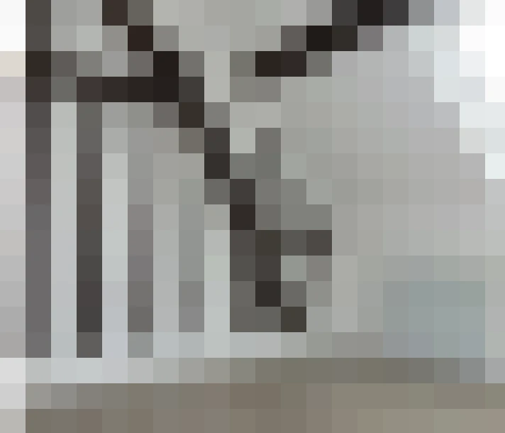  / #15