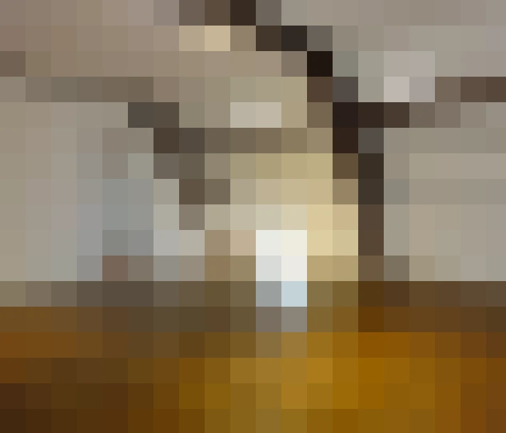  / #14