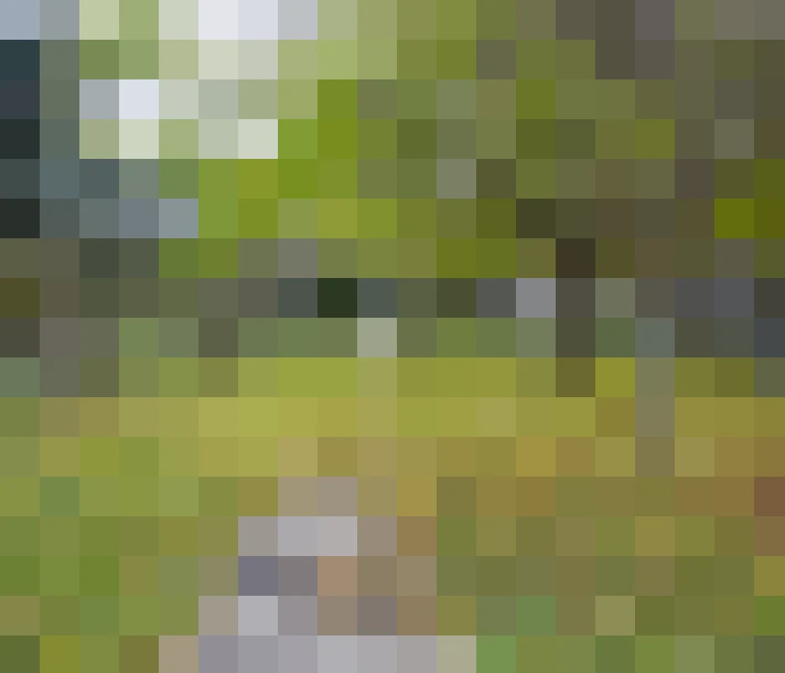  / #4