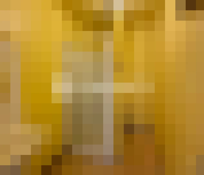  / #6