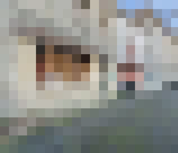 / #12