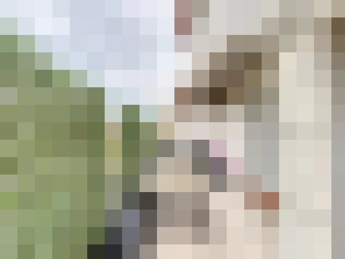  / #14