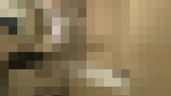  / #11
