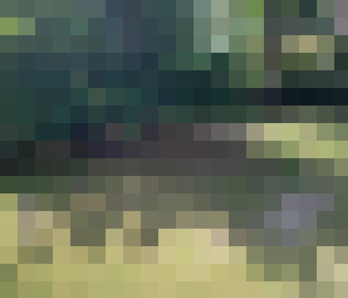  / #12