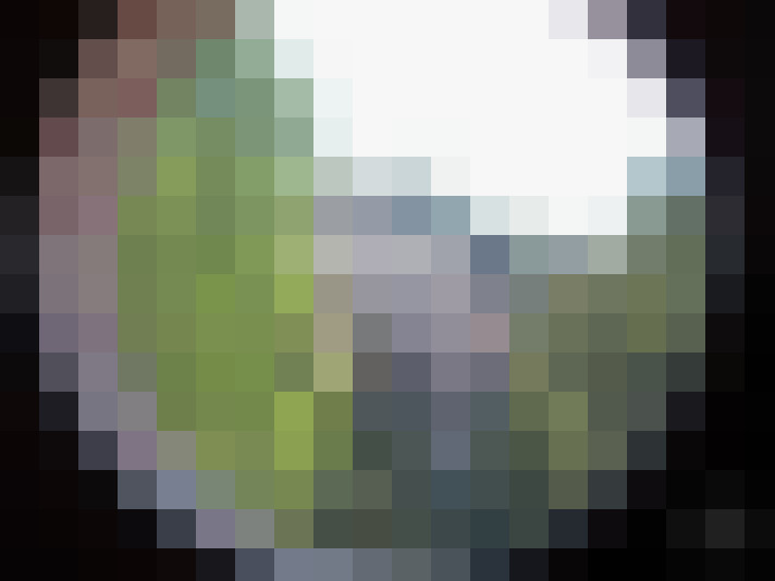  / #8
