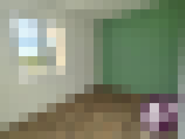  / #5