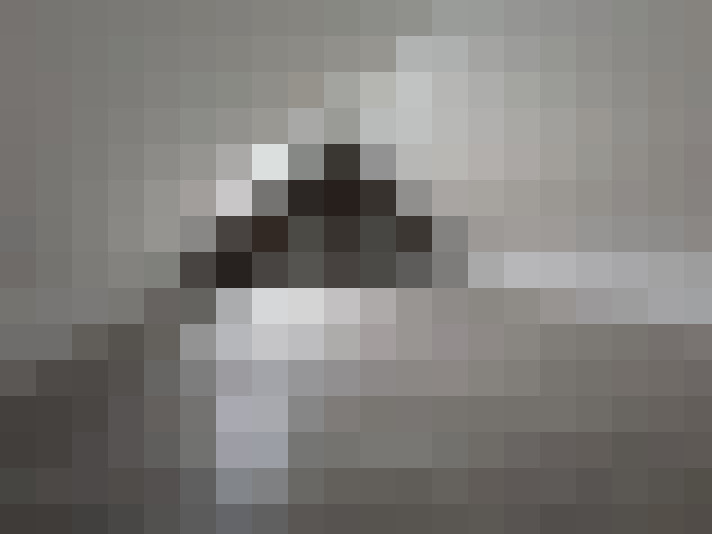  / #7