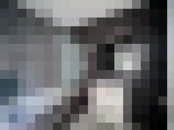  / #7