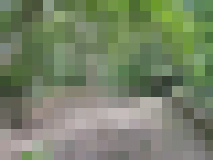  / #17