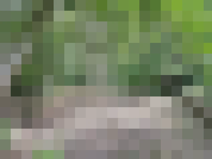  / #16