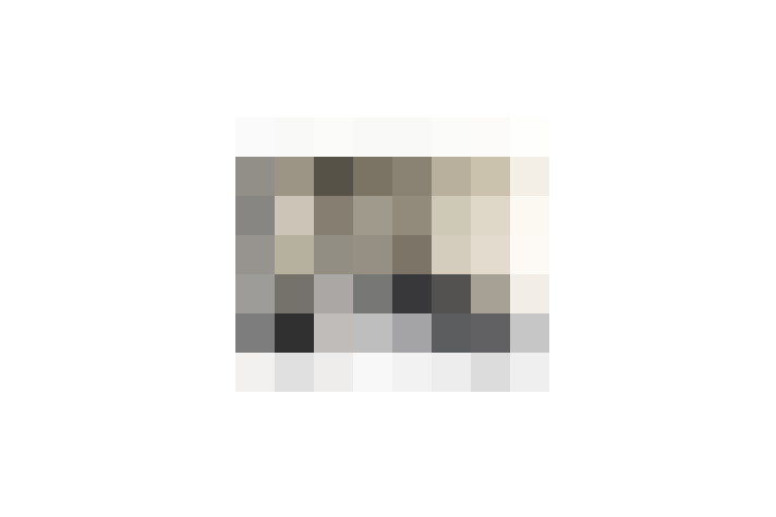  / #19