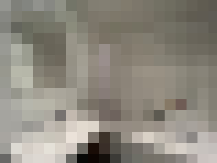  / #15