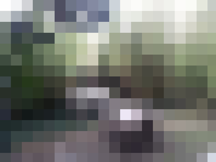  / #6