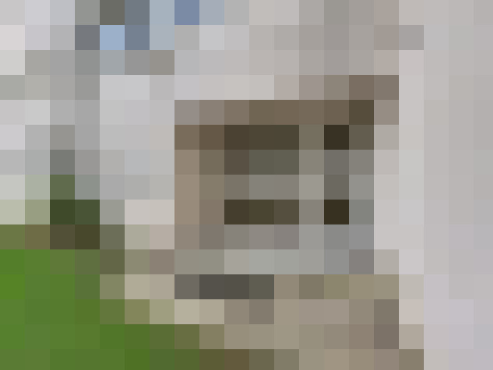  / #6