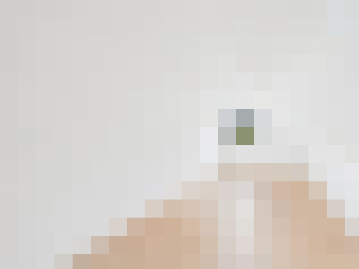  / #13