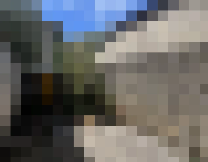  / #7
