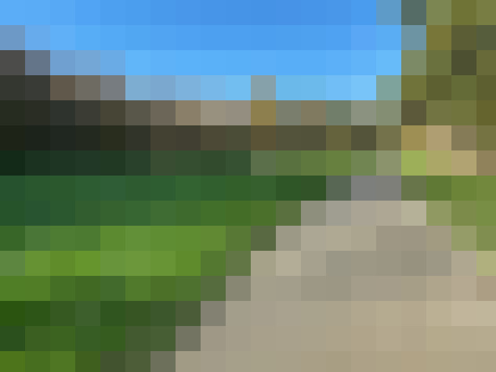  / #7