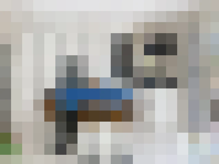  / #13