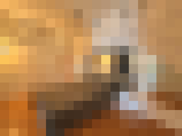  / #16