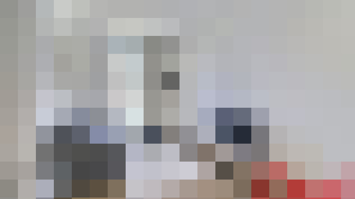  / #8