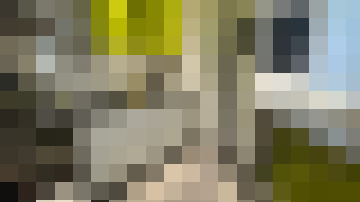  / #7