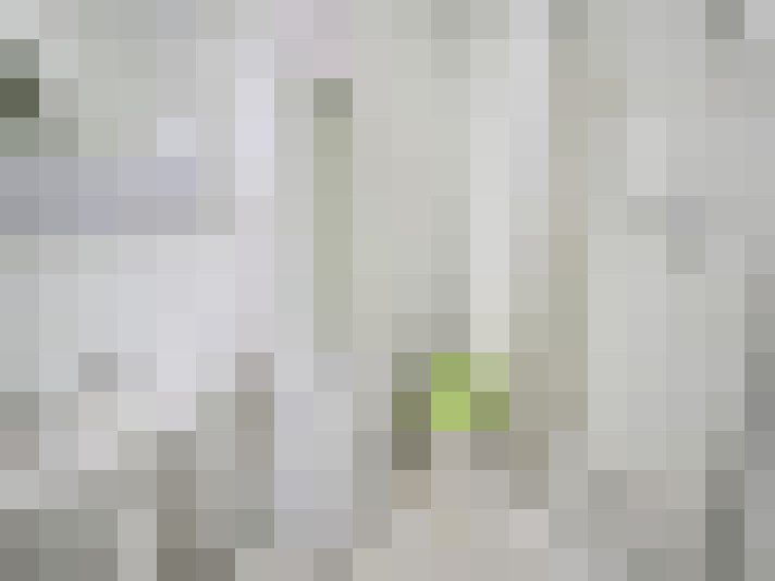 / #16