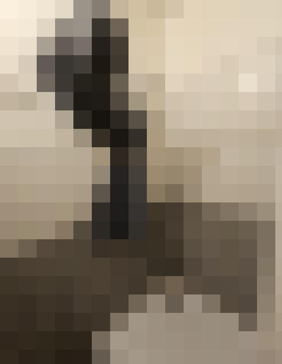  / #8