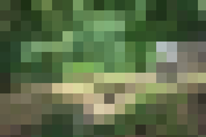  / #13