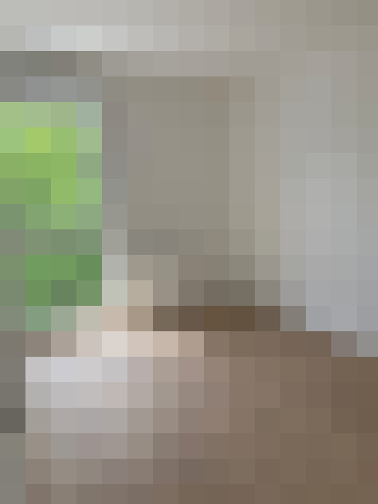  / #5