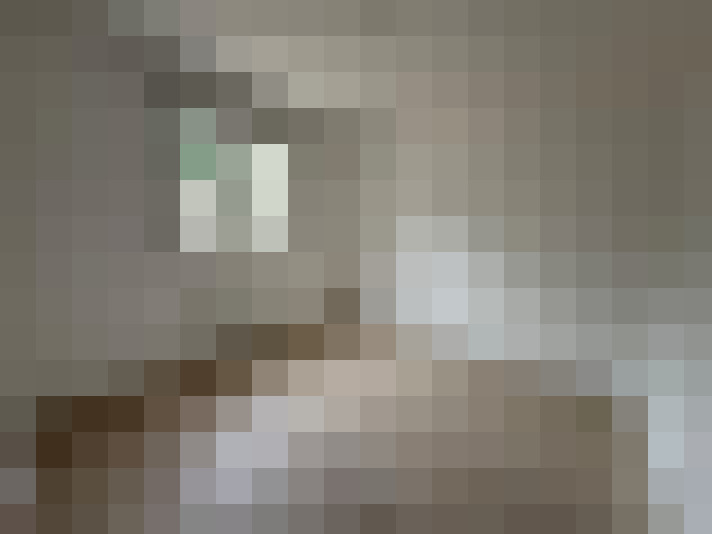  / #8