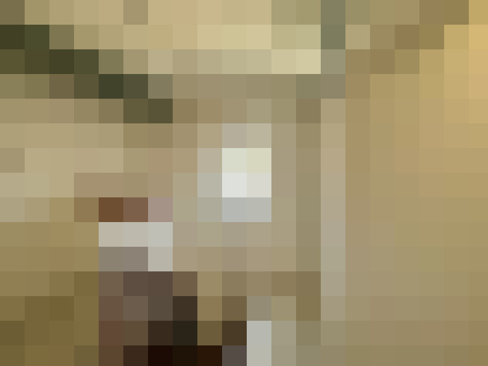  / #15