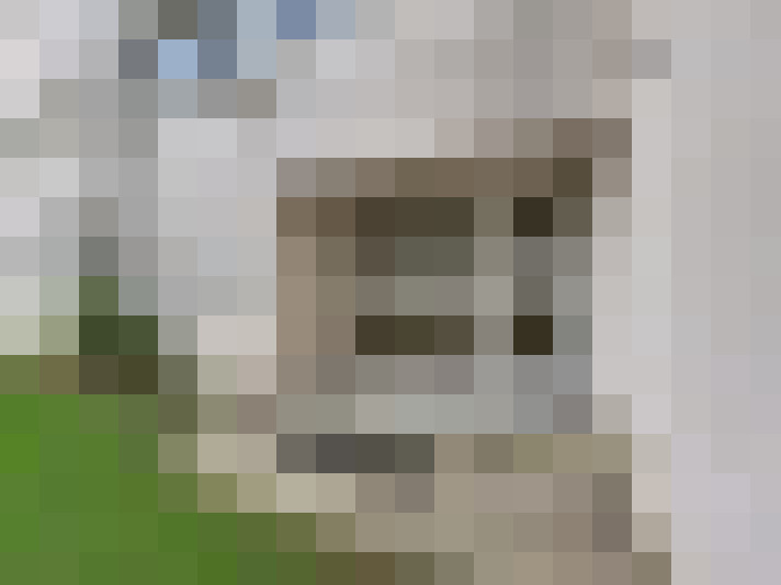  / #6