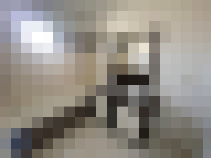  / #13